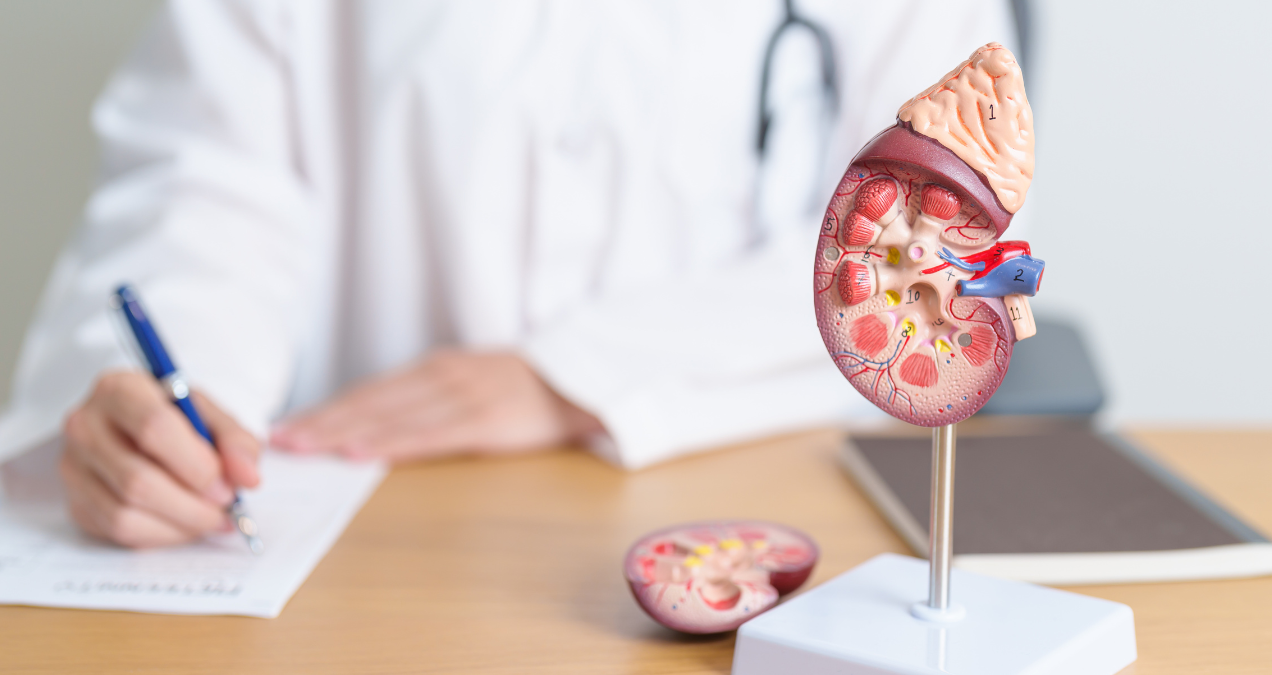 Understanding the Types of Kidney Problems: Causes, Symptoms, and Treatment