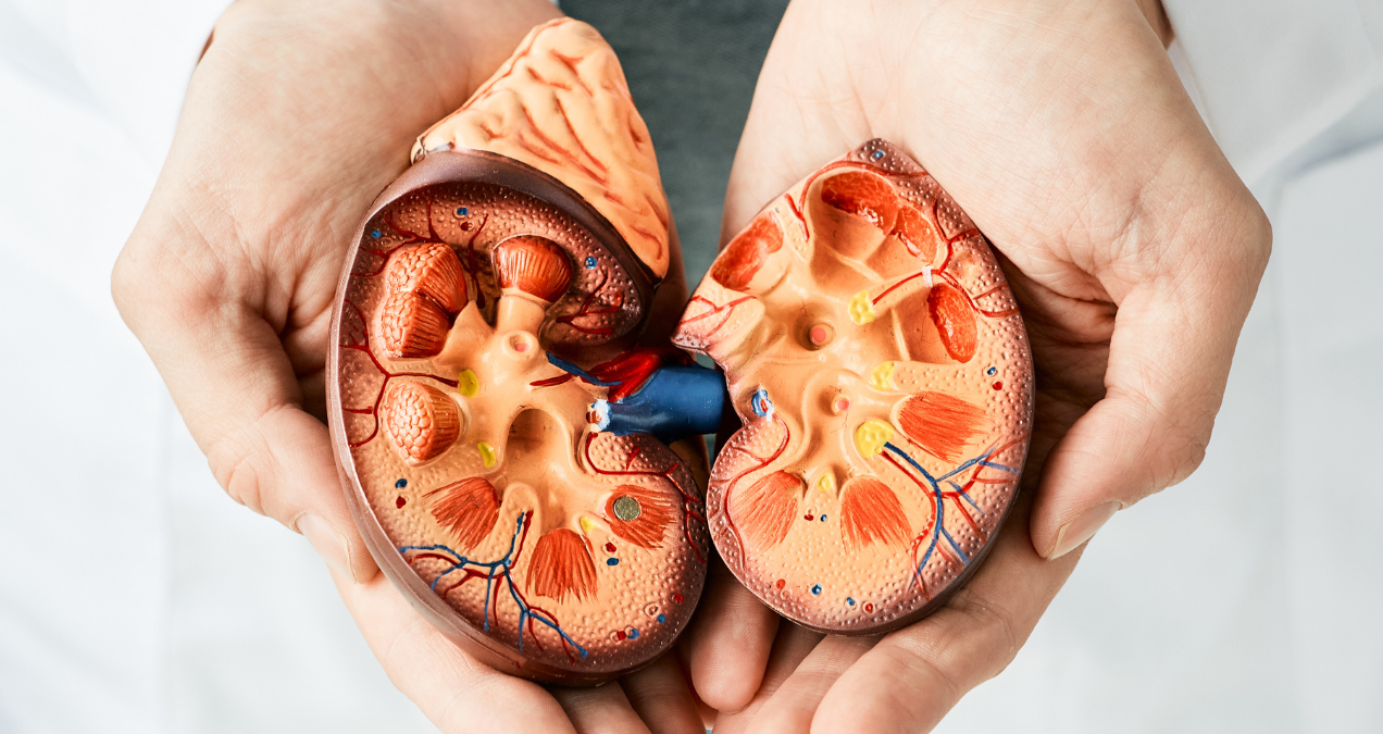 Nephrology Treatment in gurgaon