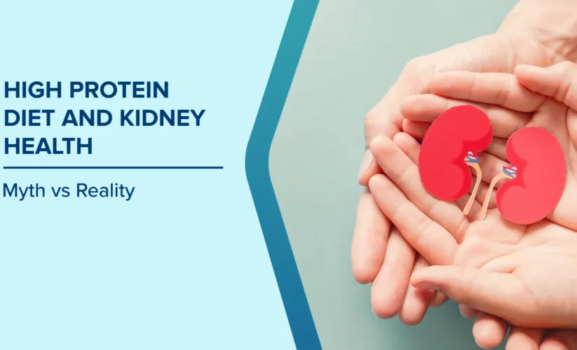 Does a High-Protein Diet Damage Your Kidneys?