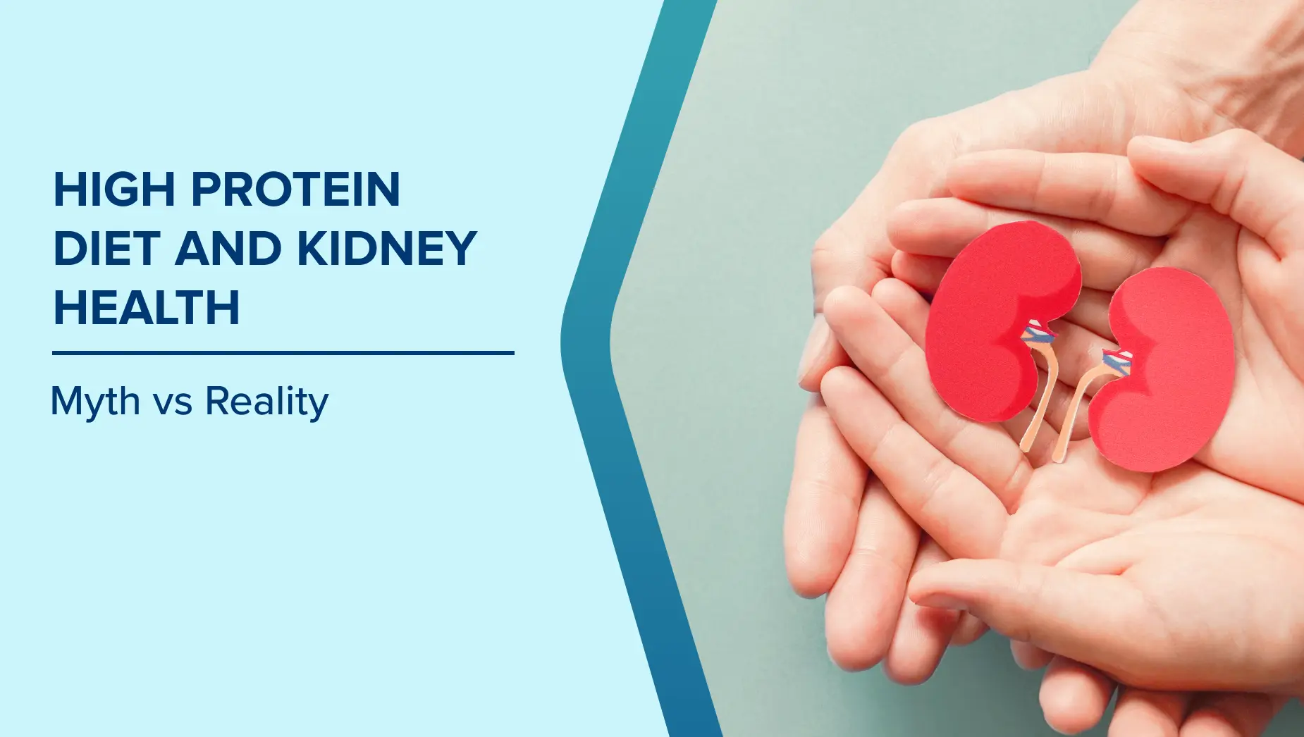 Myth vs. Reality: Does a High-Protein Diet Damage Your Kidneys?